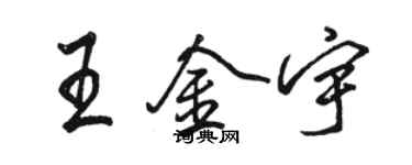 骆恒光王金宇行书个性签名怎么写
