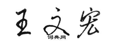 骆恒光王文宏行书个性签名怎么写