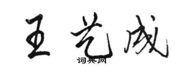 骆恒光王艺成行书个性签名怎么写