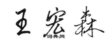 骆恒光王宏森行书个性签名怎么写