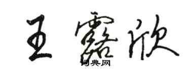 骆恒光王露欣行书个性签名怎么写