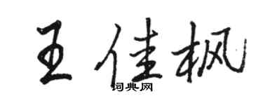 骆恒光王佳枫行书个性签名怎么写
