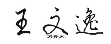 骆恒光王文逸行书个性签名怎么写