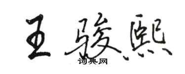 骆恒光王骏熙行书个性签名怎么写