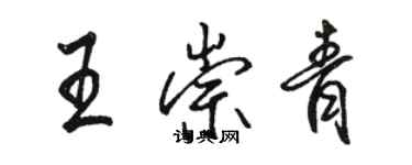 骆恒光王崇青行书个性签名怎么写