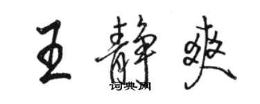 骆恒光王静爽行书个性签名怎么写