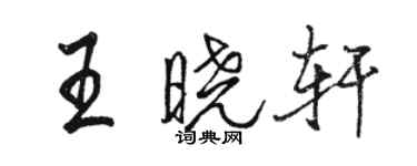 骆恒光王晓轩行书个性签名怎么写