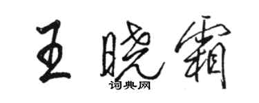 骆恒光王晓霜行书个性签名怎么写