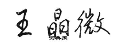 骆恒光王晶微行书个性签名怎么写
