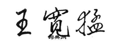 骆恒光王宽猛行书个性签名怎么写