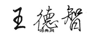 骆恒光王德智行书个性签名怎么写