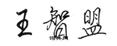 骆恒光王智盟行书个性签名怎么写