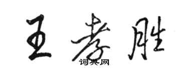 骆恒光王孝胜行书个性签名怎么写