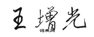 骆恒光王增光行书个性签名怎么写