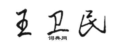 骆恒光王卫民行书个性签名怎么写