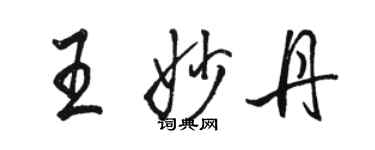 骆恒光王妙丹行书个性签名怎么写