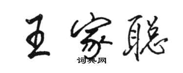 骆恒光王家聪行书个性签名怎么写
