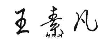 骆恒光王素凡行书个性签名怎么写