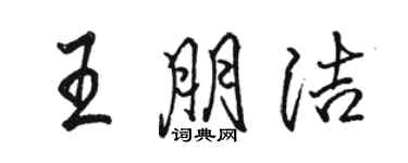 骆恒光王朋洁行书个性签名怎么写