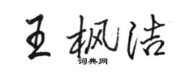骆恒光王枫洁行书个性签名怎么写