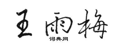 骆恒光王雨梅行书个性签名怎么写