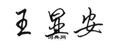 骆恒光王显安行书个性签名怎么写