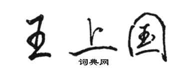 骆恒光王上国行书个性签名怎么写