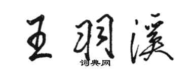 骆恒光王羽溪行书个性签名怎么写