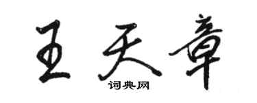骆恒光王天章行书个性签名怎么写