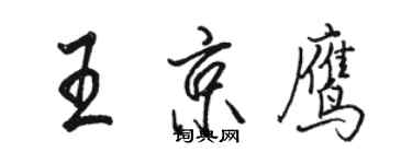 骆恒光王京鹰行书个性签名怎么写
