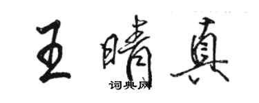 骆恒光王晴真行书个性签名怎么写