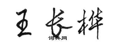 骆恒光王长桦行书个性签名怎么写