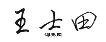 骆恒光王士田行书个性签名怎么写