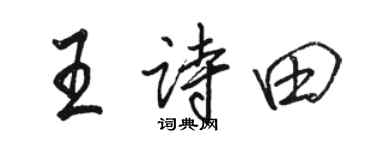 骆恒光王诗田行书个性签名怎么写