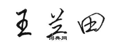 骆恒光王兰田行书个性签名怎么写