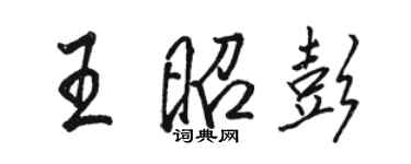 骆恒光王昭彭行书个性签名怎么写