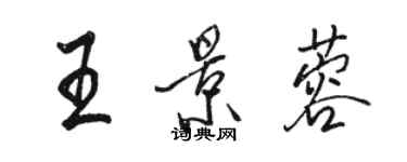 骆恒光王景蓉行书个性签名怎么写