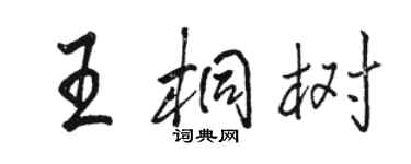 骆恒光王桐树行书个性签名怎么写