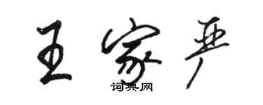 骆恒光王家严行书个性签名怎么写