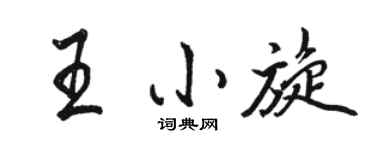 骆恒光王小旋行书个性签名怎么写