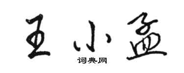 骆恒光王小孟行书个性签名怎么写
