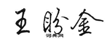 骆恒光王盼金行书个性签名怎么写