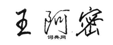 骆恒光王阿密行书个性签名怎么写