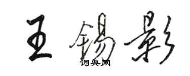 骆恒光王锡影行书个性签名怎么写