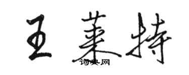 骆恒光王莱特行书个性签名怎么写