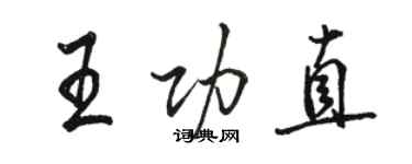 骆恒光王功直行书个性签名怎么写