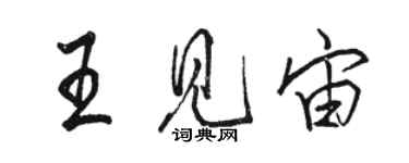 骆恒光王见宙行书个性签名怎么写