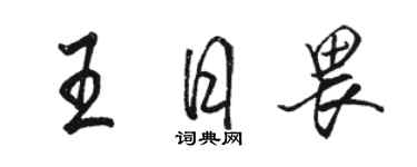 骆恒光王日畏行书个性签名怎么写