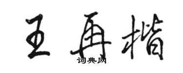 骆恒光王再楷行书个性签名怎么写