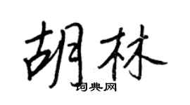 王正良胡林行书个性签名怎么写